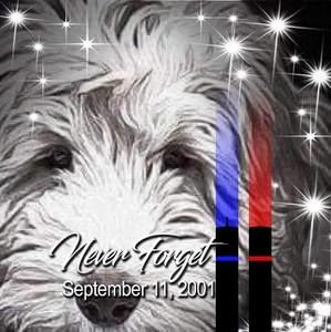 Meet your Posher, Kelli